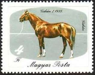 Gidrán 1, 1935