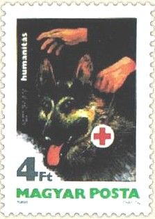 Seeing-eye Dog, Red Cross