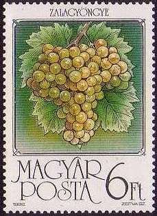Grapes
