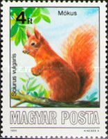 Eurasian Red Squirrel (Sciurus vulgaris)