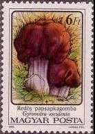 Gyromitra esculenta