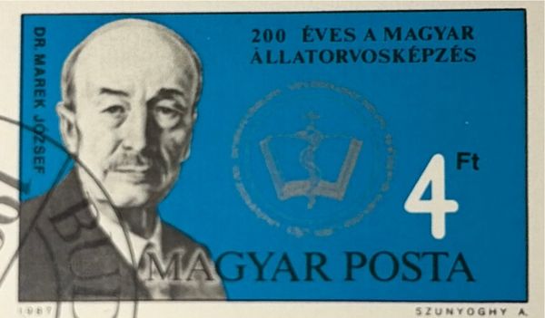 József Marek, vet