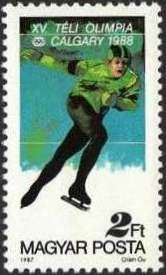 Men's speed skating