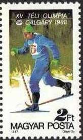 Cross - Country Skiing