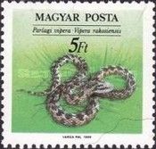 Meadow Viper (Vipera ursinii ssp. rakosiensis)