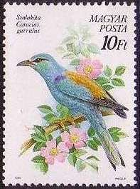 European Roller (Coracias garrulus)