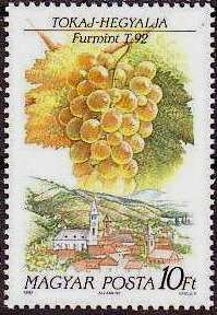 Tokaj-Hegyalja