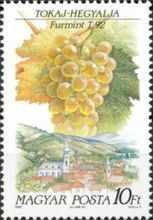 Tokaj-Hegyalja