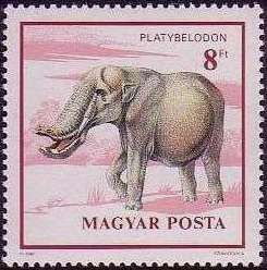 Platybelodon