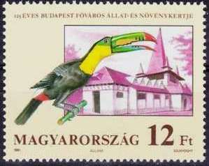 Keel-billed Toucan (Ramphastos sulfuratus)
