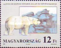 Polar Bear (Ursus maritimus)