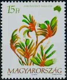 Anigosanthos manglesii