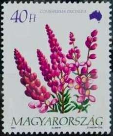 Comesperma ericinum