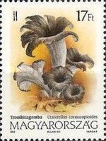 Black trumpet (Craterellus cornucopioides)
