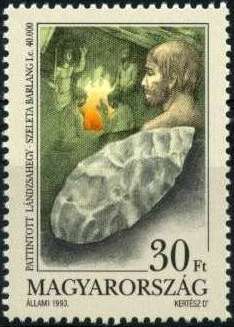 Prehistoric man's stone tool from Szeleta cave