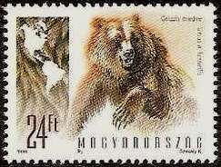Grizzly Bear (Ursus horribilis)