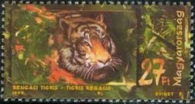 Bengal Tiger (Panthera tigris tigris)