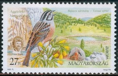 Rock Bunting (Emberiza cia)