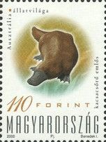 Platypus (Ornithorhynchus anatinus)