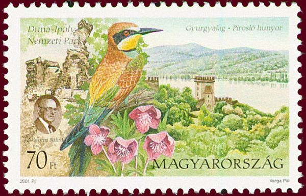 Duna-Ipoly National Park, European Bee-eater (Merops apiaste