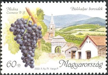 Bükkalja region