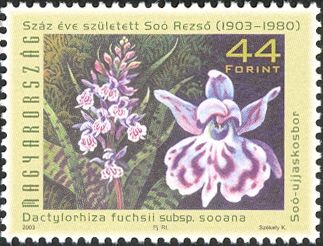 Dactylorhiza fuchsii subs. sooana