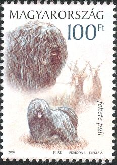 Puli, Wallachian Sheep