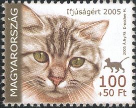 Domestic Cat (Felis silvestris catus)