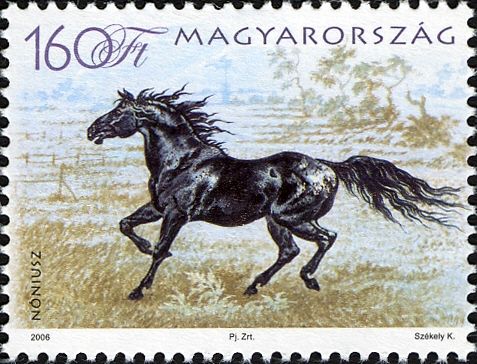 Nonius (Equus ferus caballus)