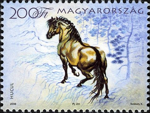 Hucule Horse (Equus ferus caballus)