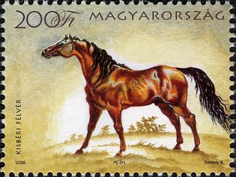 Kisbér Halfbred (Equus ferus caballus)