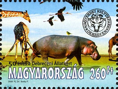 Hippopotamus (Hippopotamus amphibius), Giraffe (Giraffa came