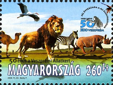 Lion (Panthera leo), Zebra (Equus sp.), Rhinoceros