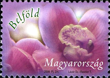 Orchid