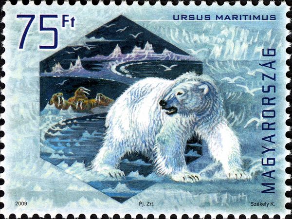 Polar Bear (Ursus maritimus) - iridescent