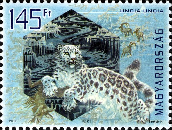 Snow Leopard (Panthera uncia) - iridescent