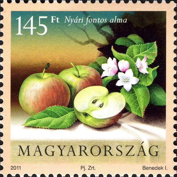 Apple
