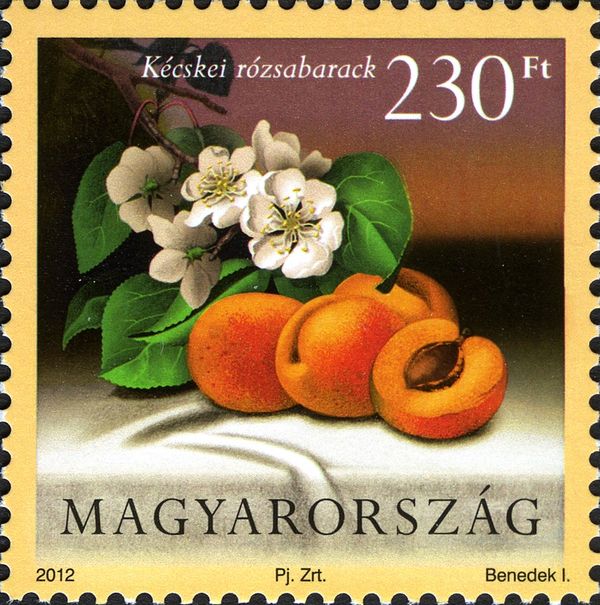 Kécskei rózsabarack