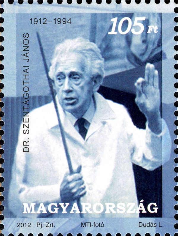Dr. Szentágothai János