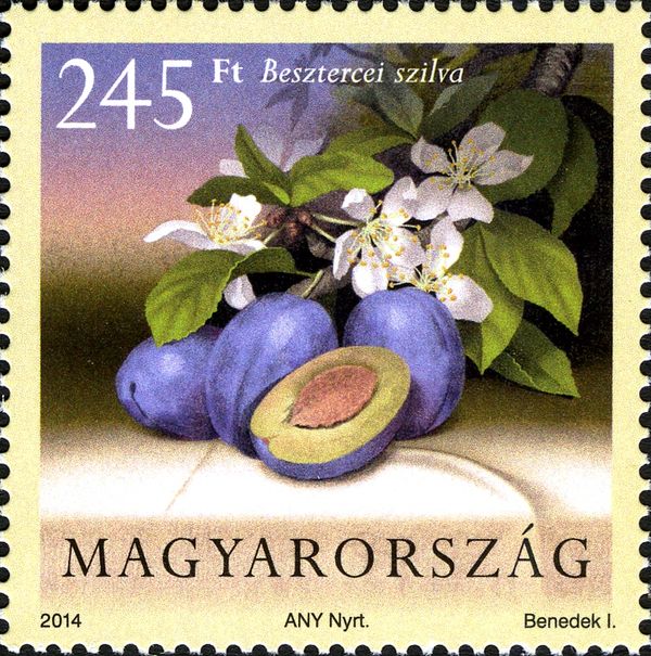 Besztercei plum