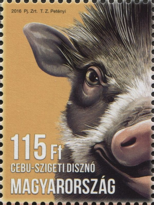 Visayan Warty Pig (Sus cebifrons)
