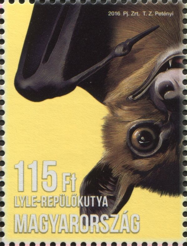 Lyle's Flying Fox (Pteropus lylei)