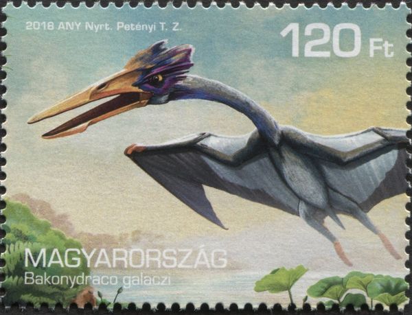 Bakonydraco galaczi