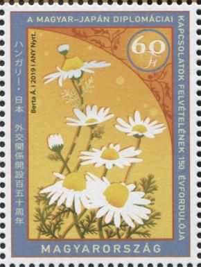 Chamomile Flowers