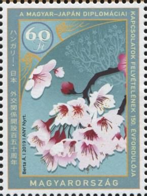 Cherry Blossoms