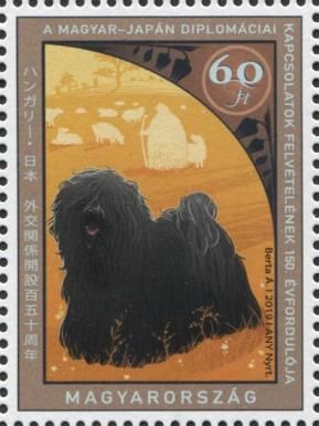 Puli