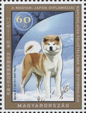 Shiba Inu