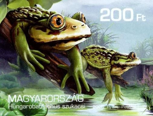 Hungarobatrachus szukacsi
