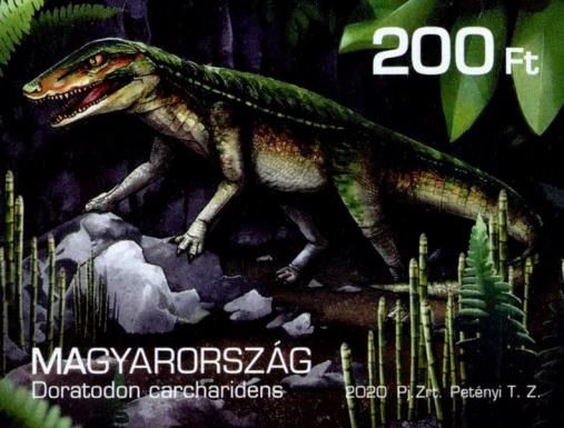 Doratodon carcharidens