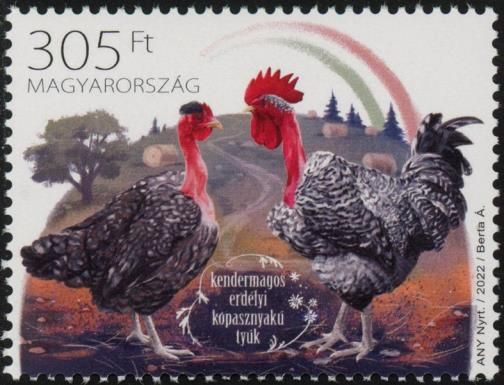 Speckled Transylvanian Naked-Neck Chicken